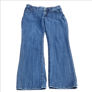 Lee Classic Blue Jeans (Code-B102)
